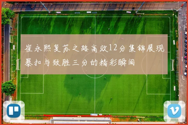 崔永熙复苏之路高效12分集锦展现暴扣与致胜三分的精彩瞬间