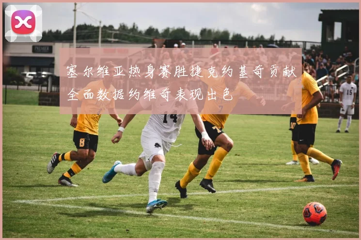 塞尔维亚热身赛胜捷克约基奇贡献全面数据约维奇表现出色