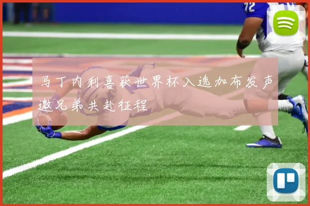 马丁内利喜获世界杯入选加布发声邀兄弟共赴征程